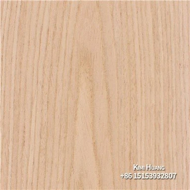 इंजीनियर रिकॉन ईवी लिबास